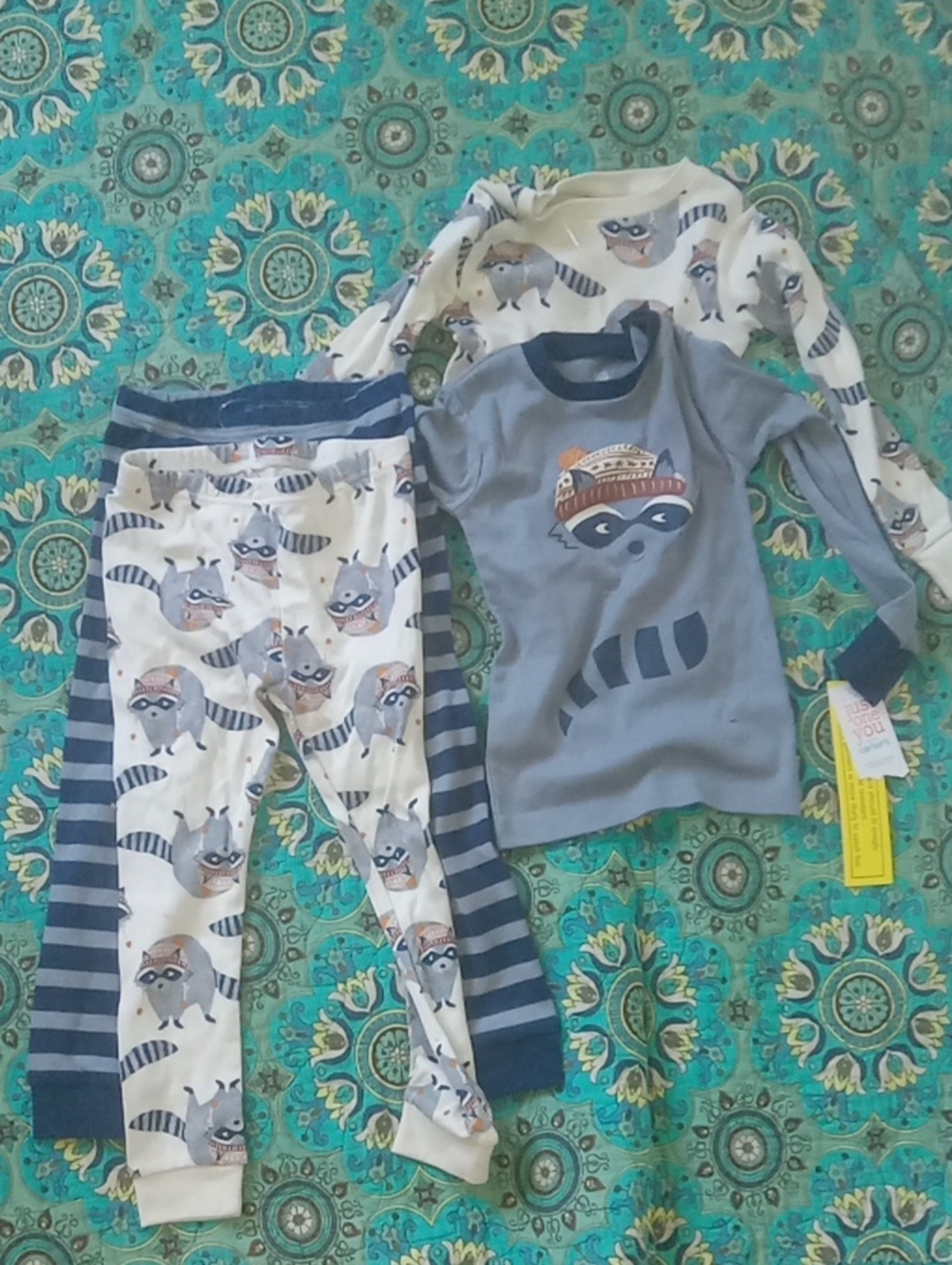 Gray and White Raccoon Print Kids Pajama Set - Cozy Long Sleeve Nightwear